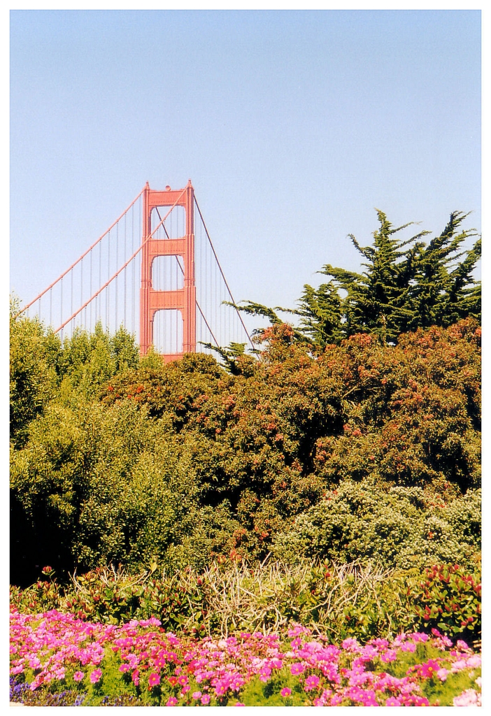 01 - San Francisco (35).jpg